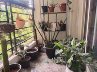 Balcony 1