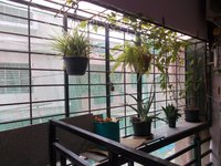 Balcony 2