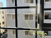 Balcony 1