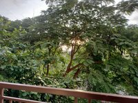 Balcony 2