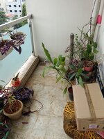 Balcony 4