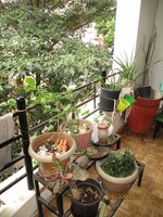 Balcony 1