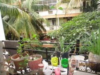 Balcony 1