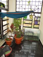Balcony 2