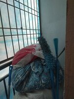 Balcony 2