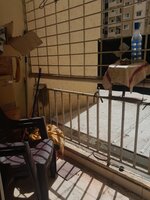 Balcony 1