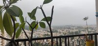 Balcony 1