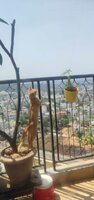 Balcony 1