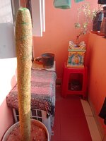 Balcony 2