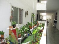 Balcony 1