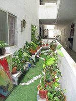 Balcony 1