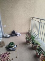 Balcony 1