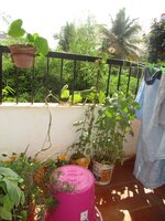Balcony 1