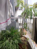 Balcony 1