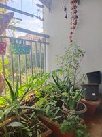 Balcony 1