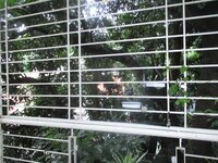 Balcony 2