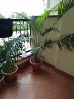 Balcony 2