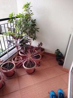 Balcony 1