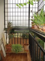 Balcony 1