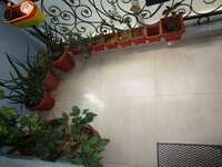 Balcony 1