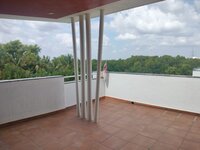terraces 1