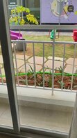 Balcony 1