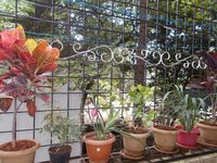 Balcony 2