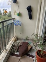 Balcony 1