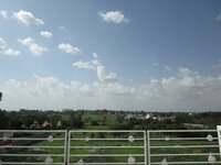 Terrace 1