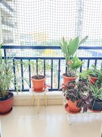 Balcony 2