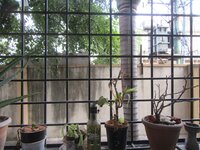 Balcony 2