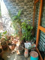 Balcony 2
