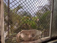 Balcony 2