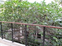 Balcony 1