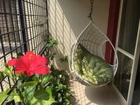 Balcony 1