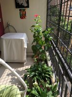 Balcony 2