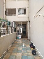 Terrace 1