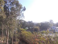 Balcony 2