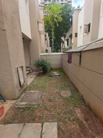Back Yard 1