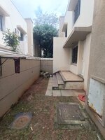 Back Yard 1