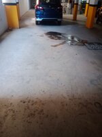 parkings 1