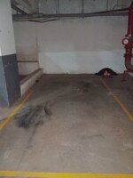 parkings 1