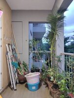 Balcony 1