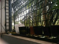 Balcony 2