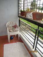 Balcony 1