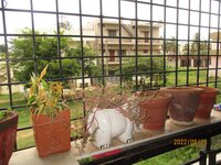Balcony 1