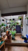 Balcony 1