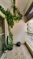 Balcony 1