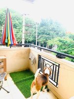 Balcony 2