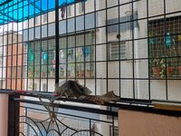 Balcony 1